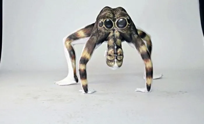 23896 tarantula model body