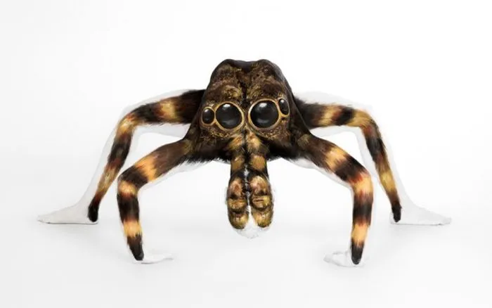 23896 tarantula model legs