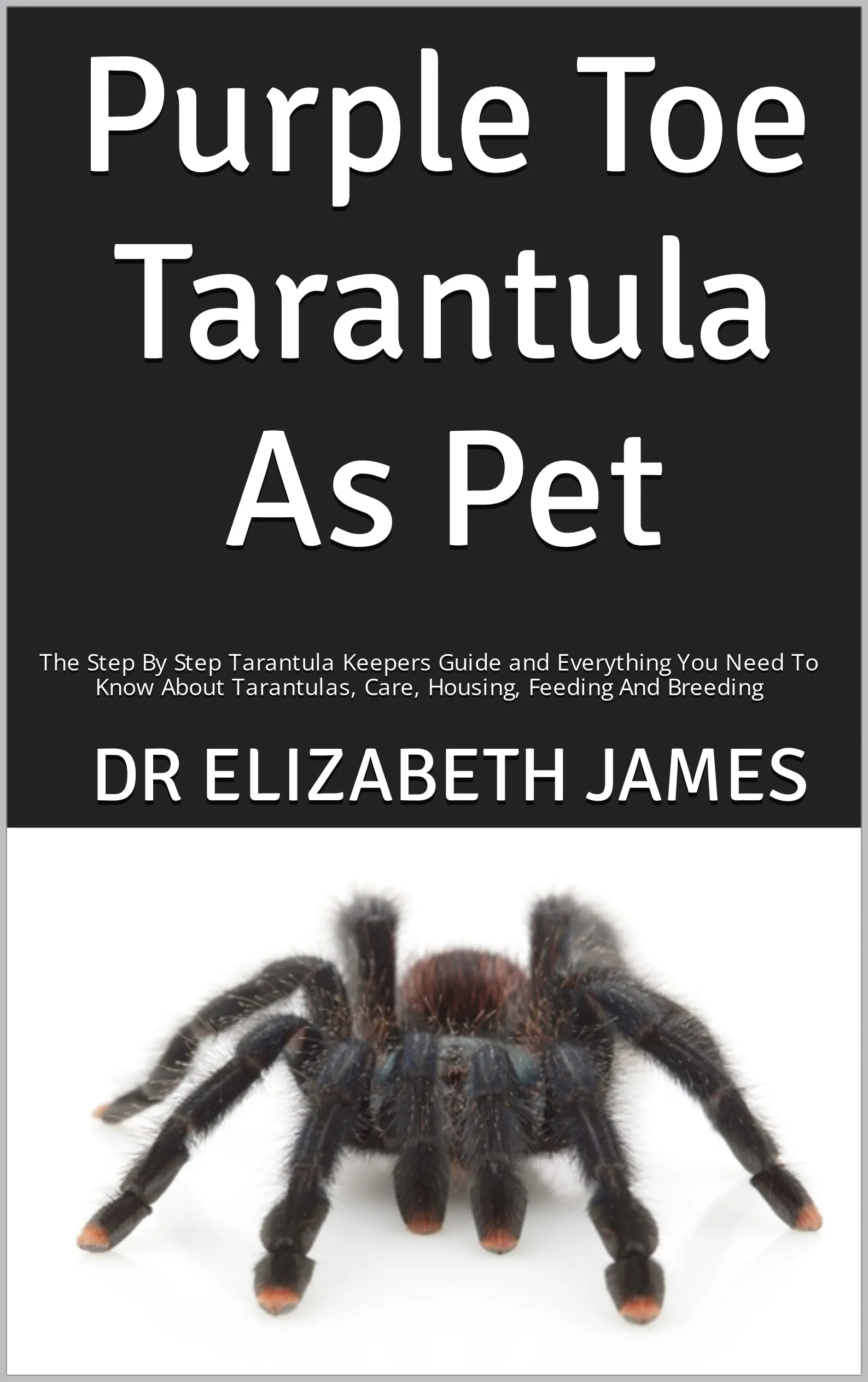 /img/23908-purple-pink-toe-tarantula-enrichment.webp