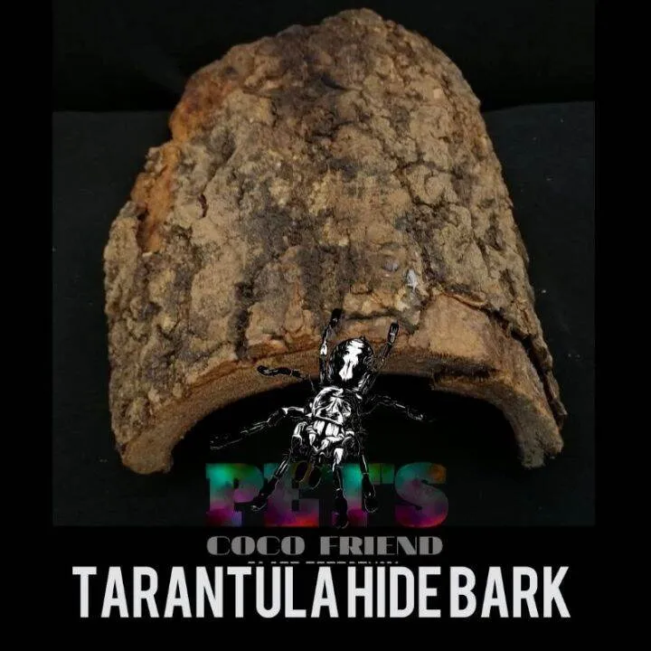/img/23909-tarantula-lazada.webp