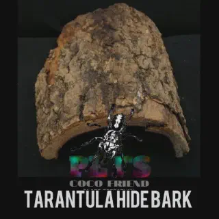 /img/23909-tarantula-lazada.webp