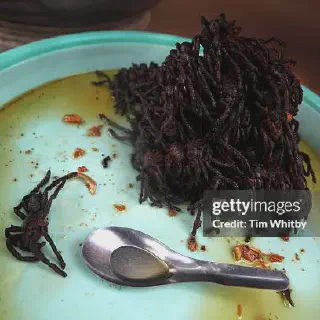 /img/23923-tarantula-cooking.webp