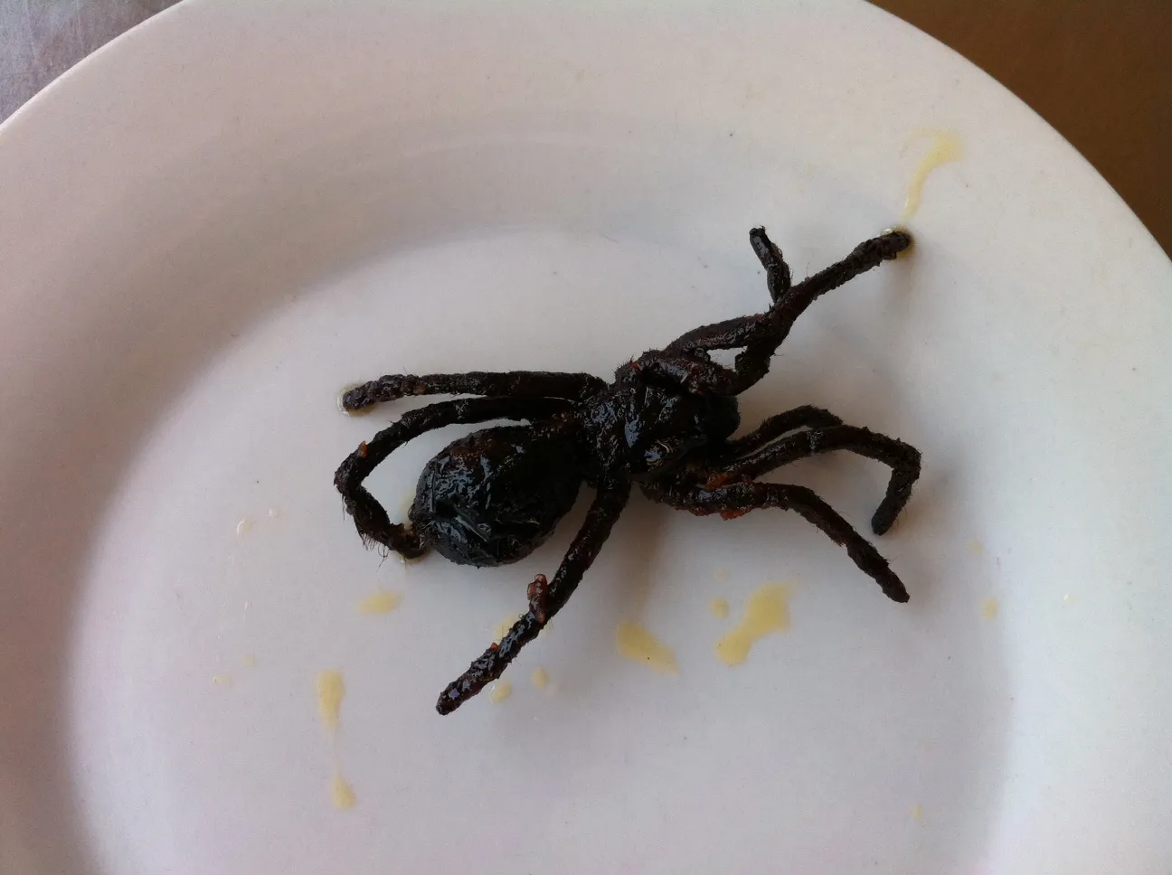 23923 tarantula market