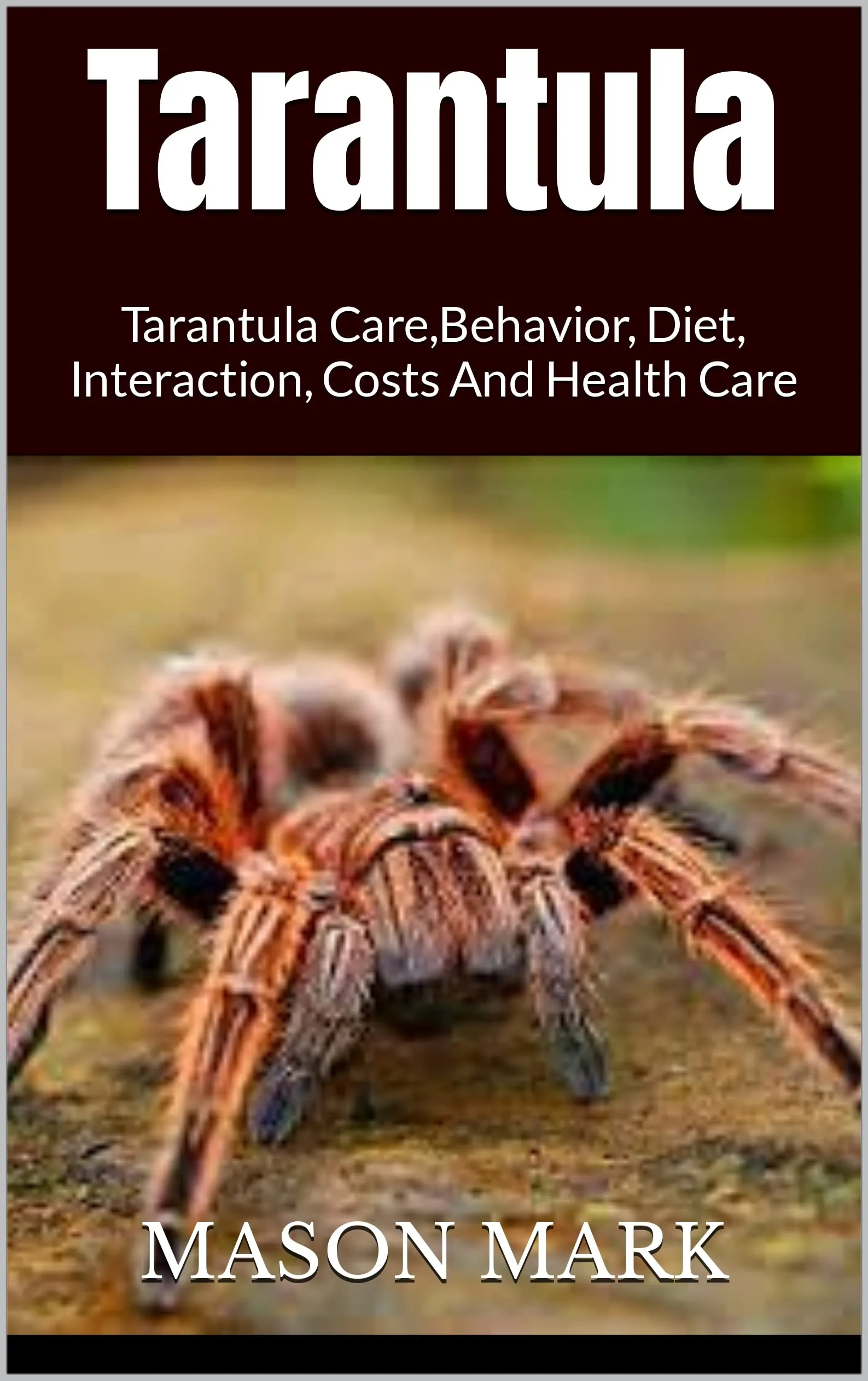 23933 tarantula hydration