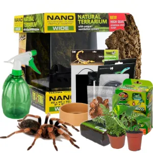 23942 tarantula handling nz