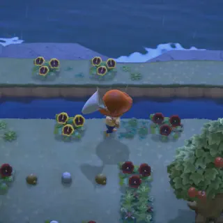 /img/23958-animal-crossing-tarantula-bells.webp