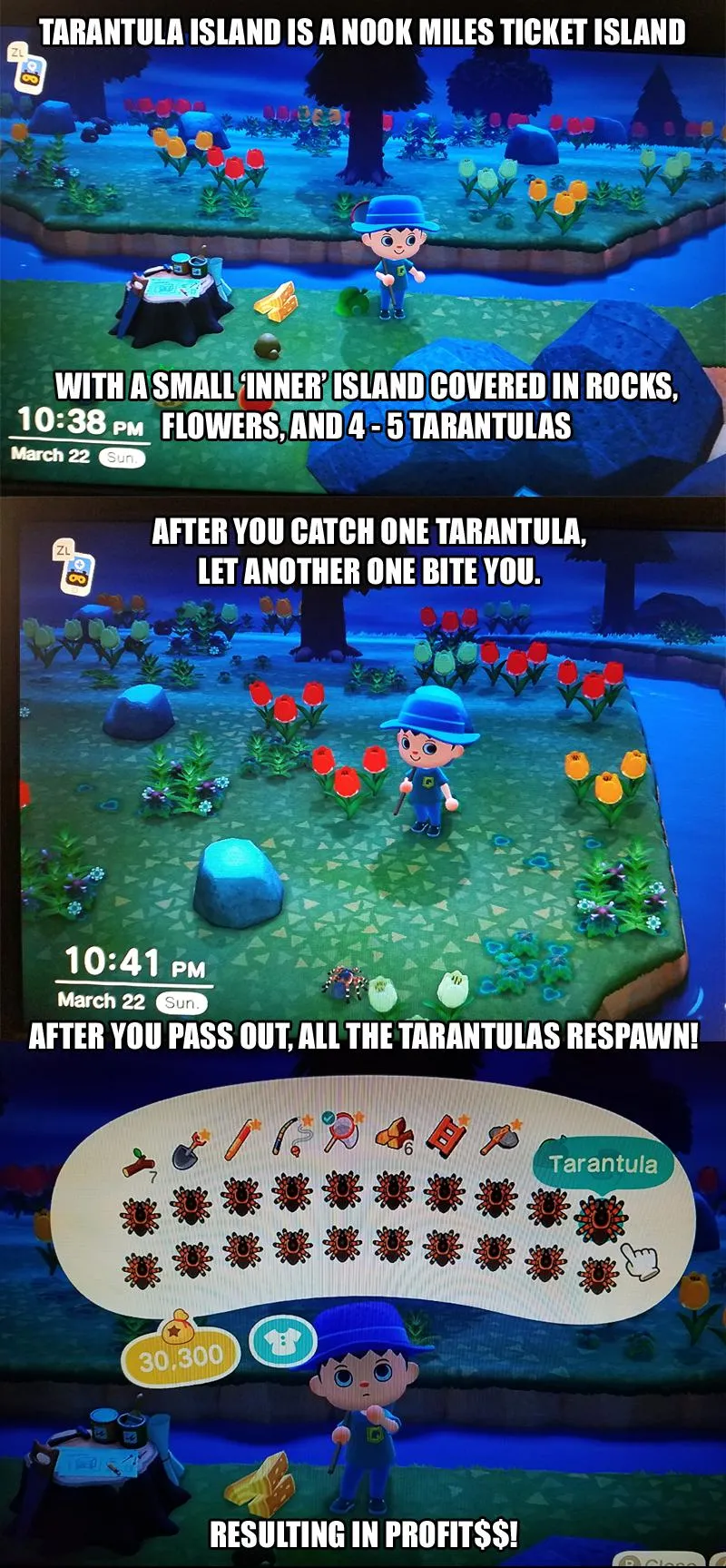 23958 animal crossing tarantula bite