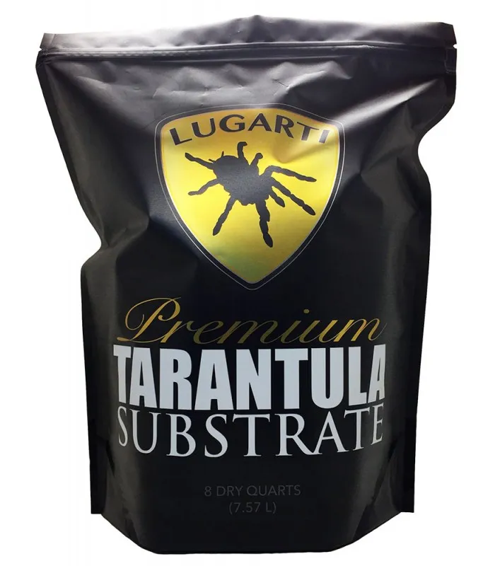 /img/23969-obt-tarantula-humidity.webp