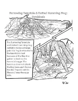 23990 dotted humming frog habitat