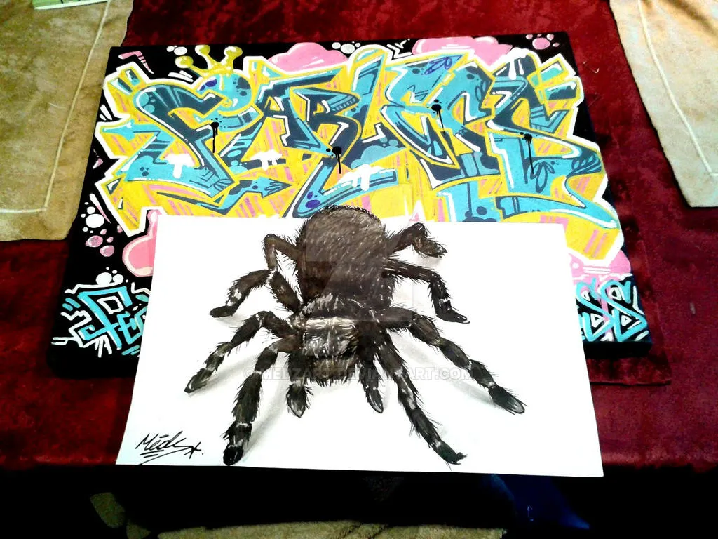 23997 tarantula reference photo