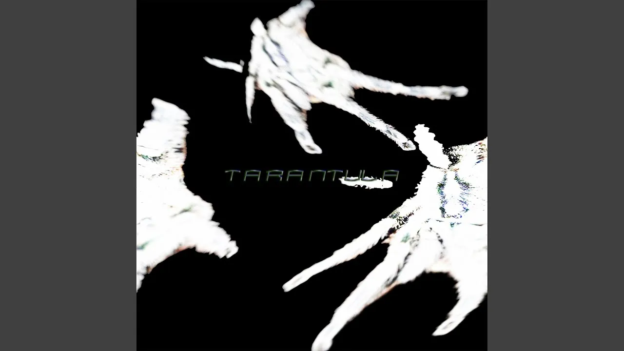24024 tarantula species