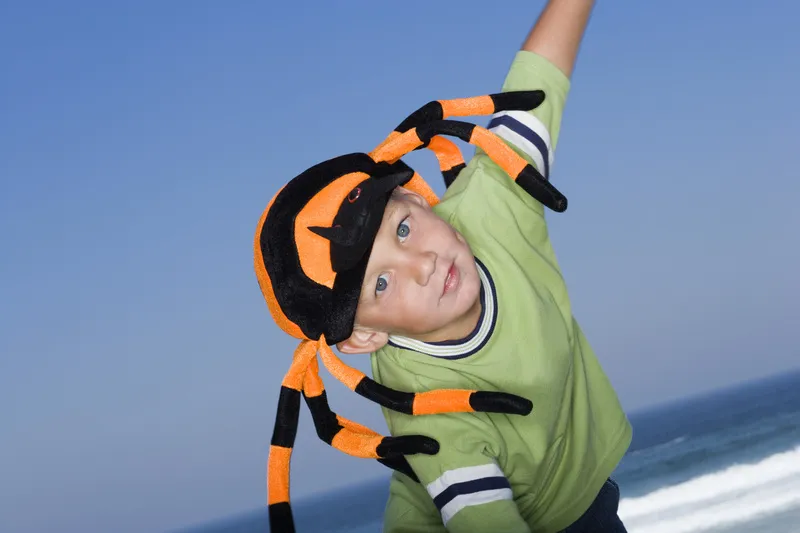 /img/24057-tarantula-boy-future.webp