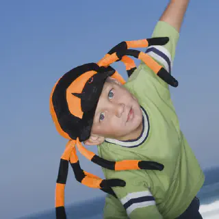 /img/24057-tarantula-boy-future.webp