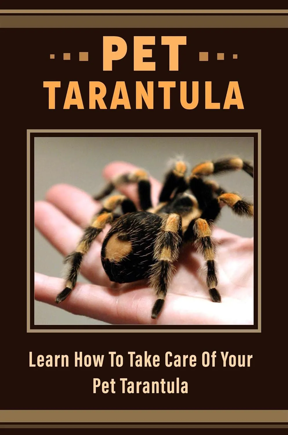 24068 tarantula feeding