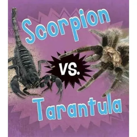 24085 scorpion habitat