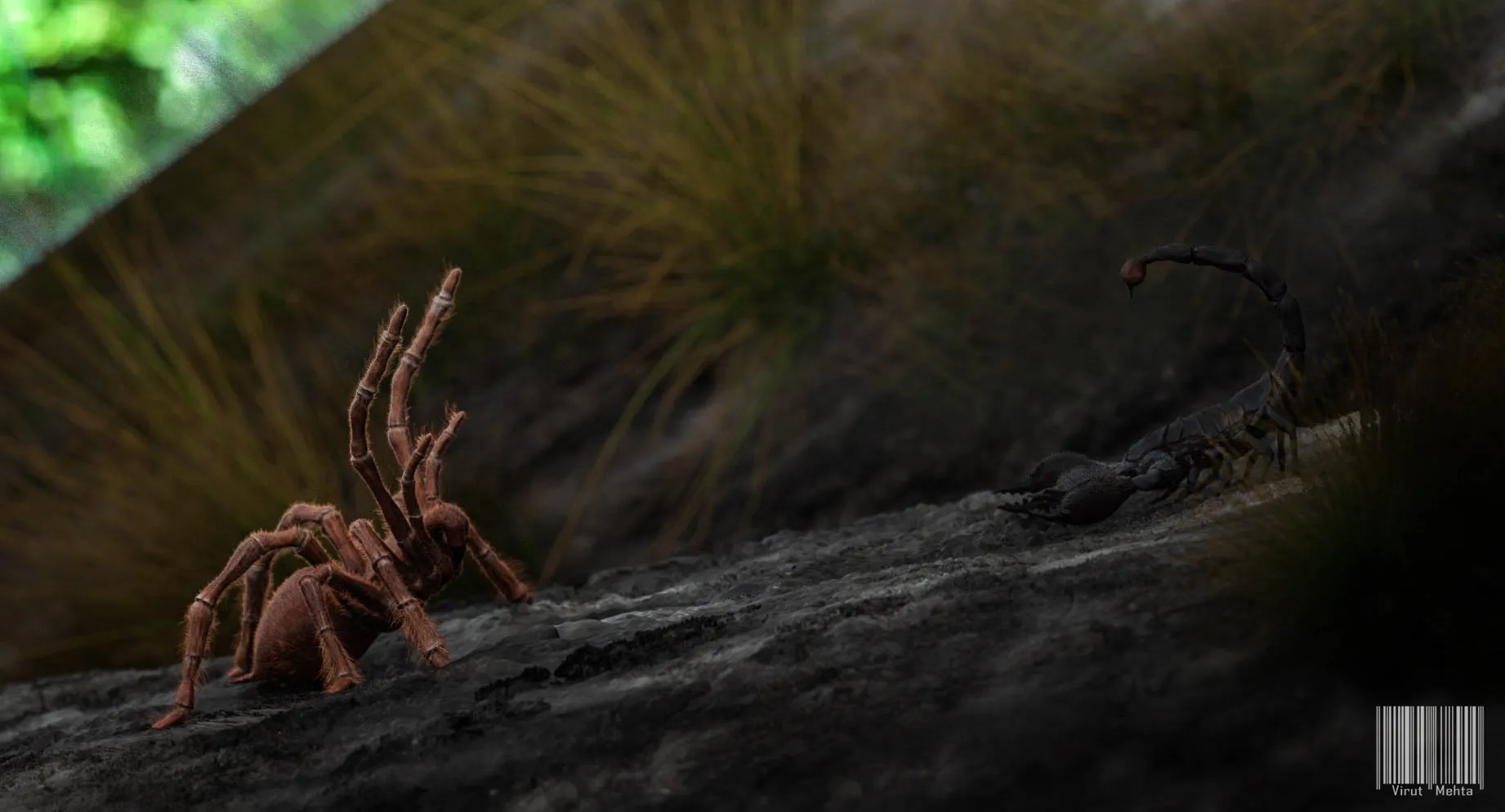 24085 scorpion tarantula centipede