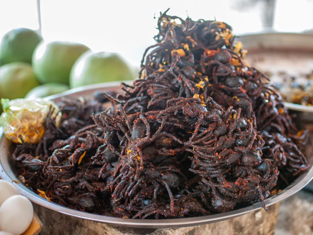 /img/24090-tarantula-market.webp