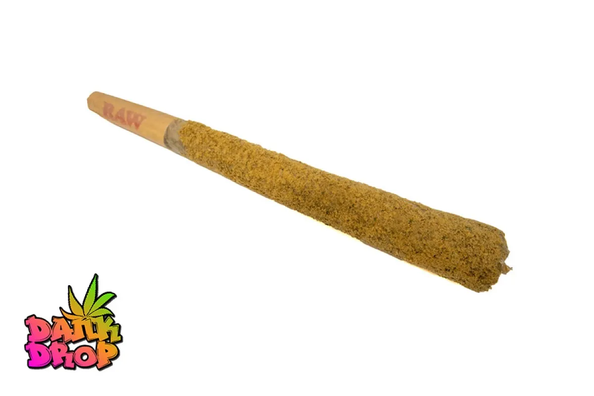 24091 rolling paper selection