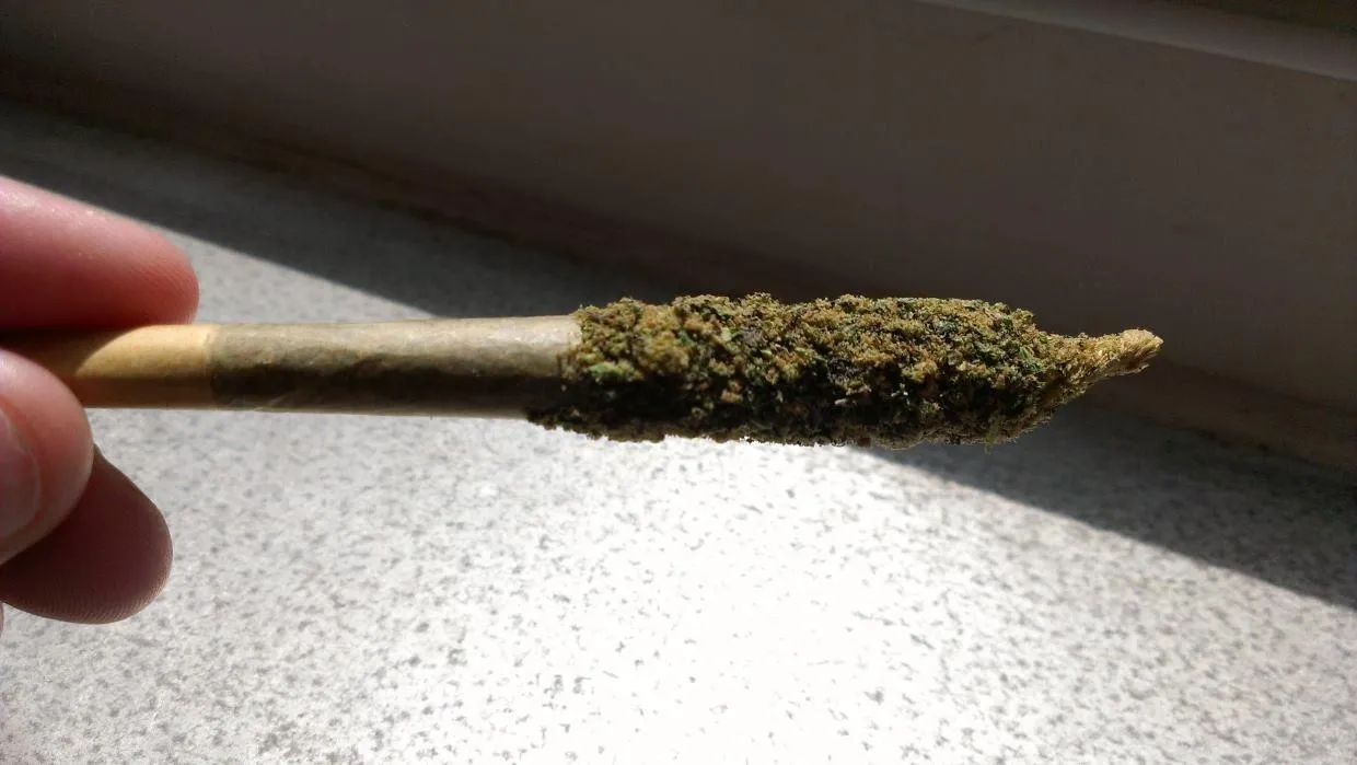 24091 tarantula joint ingredients