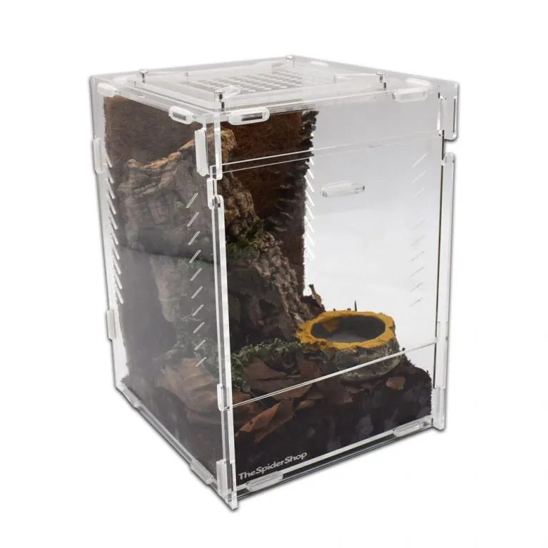 /img/24092-exotic-pets-birmingham.webp