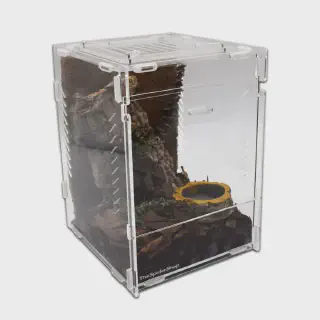 /img/24092-exotic-pets-birmingham.webp