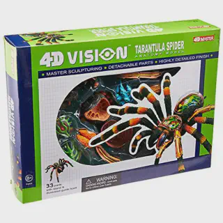 /img/24096-tarantula-sensory-organs.webp