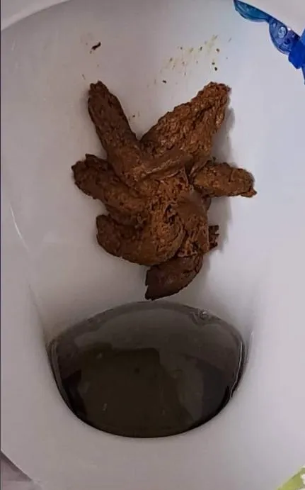 24106 cleaning tarantula enclosure