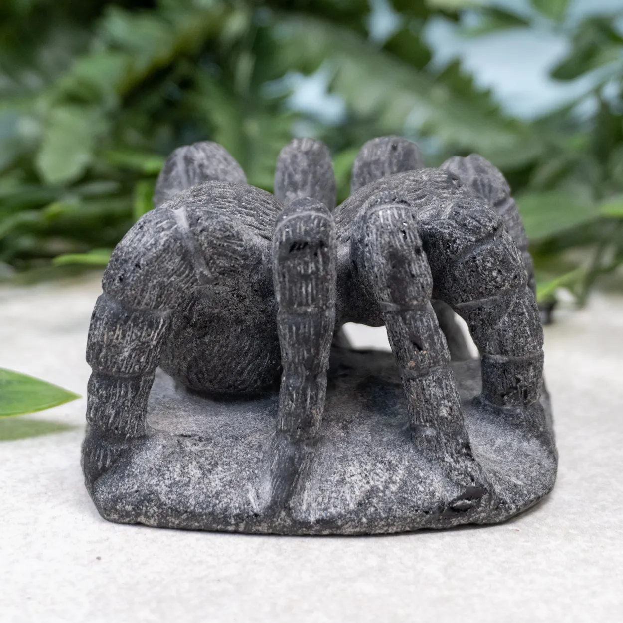 24115 alien tarantula diet